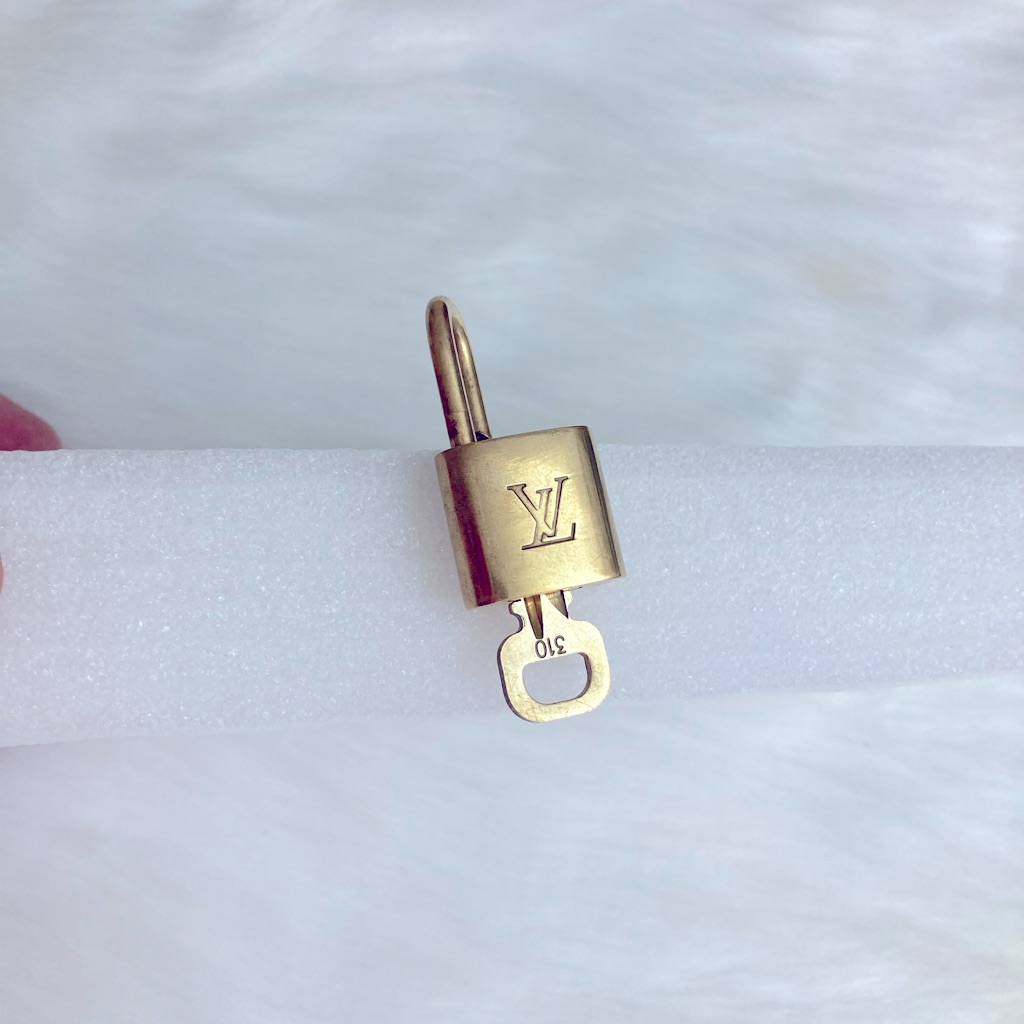 Louis Vuitton 310